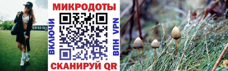 Галлюциногенные грибы Psilocybe  как найти   Глазов 
